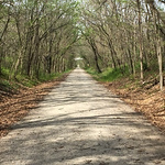 Profile Picture of Christine Comotto (@ccomotto@att.net) on Flickr