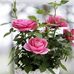 Profile Picture of Sylvia Hendricks (@sylvia.hendricks.9843) on Facebook