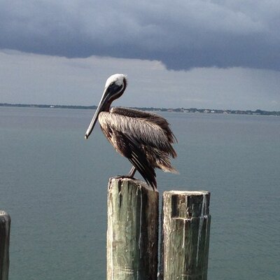 Profile Picture of Doug Erwin (@doug_erwin) on Twitter