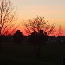 Profile Picture of Allison Guida (@Allison36933) on Twitter