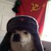 Profile Picture of Robert Makowski (@robert.makowski.94043) on Facebook