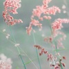 Profile Picture of Lara Mansfield718 (@@itwascarolle) on Tiktok