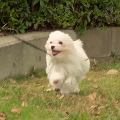 Profile Picture of Michael-ende (@Quh9ZGvlayFbGcZ) on Twitter