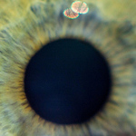 Profile Picture of Christopher Benson (@chrisisageek) on Flickr