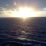Profile Picture of Nancy Bianchi-Zero (@bianchizero) on Instagram