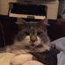 Profile Picture of William Bricker (@william.bricker.161) on Facebook