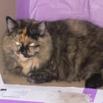 Profile Picture of Richard Overfield (@richard.overfield.1) on Facebook