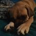 Profile Picture of Chrystal WardWebb (Chrystal Webb) (@chrystal.webb.52) on Facebook