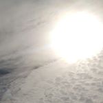 Profile Picture of Lisa Termini (@terminilisa) on Instagram