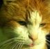 Profile Picture of Eric Schier (@eric.schier.963) on Facebook
