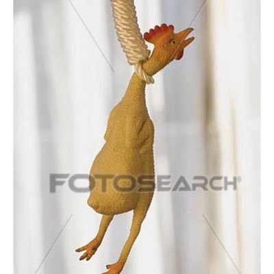 Profile Picture of Nick Dunaway (@NickDunaway5) on Twitter