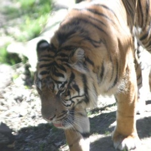 Profile Picture of David Condor (@111715056) on Myspace