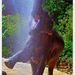 Profile Picture of Caitlyn Tschida (@cetschida) on Pinterest