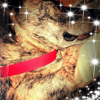 Profile Picture of Christian Anders (@christian.anders.7773) on Facebook