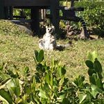 Profile Picture of James Longhi (@longhijames) on Instagram