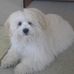 Profile Picture of Rosalind Steel (@rosalind.steel.39) on Facebook