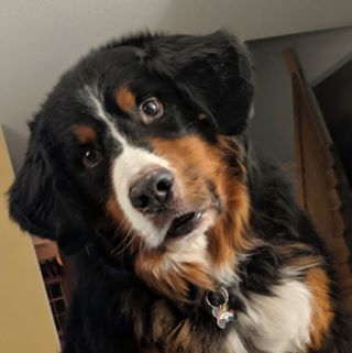 Profile Picture of Erich Heppner (@erich.heppner.92) on Facebook