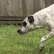 Profile Picture of Joey Walker (@joeywalker6974) on Youtube