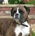 Profile Picture of Mark Bramwell (@mark.bramwell.92) on Facebook