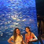 Marc Edward Newell - Instagram Profile Picture of Marc Edward Newell (@marcnewell34) on Instagram