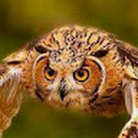 Profile Picture of Luis Hilario (@luis-hilario-9) on Quora