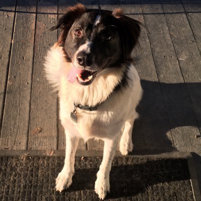 Profile Picture of Jason (@JasonLanders16) on Twitter
