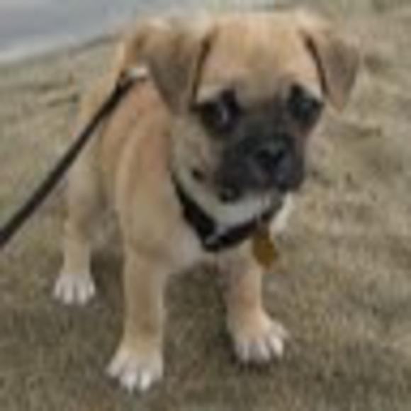 Profile Picture of Codi Cossman (@codi_cossman) on Poshmark