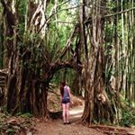 Profile Picture of Chandler Dolan (@chandlerdbree) on Instagram