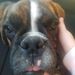Profile Picture of Sarah McCutchen (@tingmommy) on Pinterest