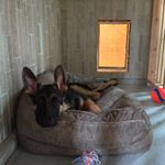 Profile Picture of Stacy Brzozowski (@gsd2015) on Instagram