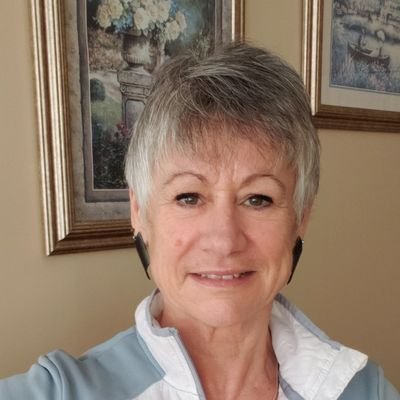 Profile Picture of Diane Levesque (@DianeLe19805031) on Twitter