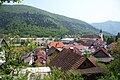 Profile Picture of Borovnica, Borovnicaon Wikipedia