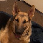 Profile Picture of Nathaniel Lancaster (@nathanielancaster8405) on Instagram