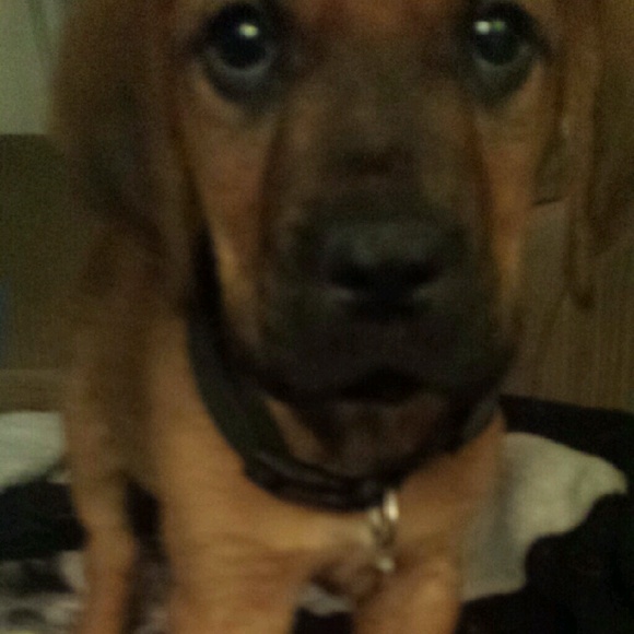 Profile Picture of Courtney Kanouff (@ckanouff) on Poshmark