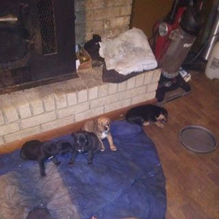 Profile Picture of Joseph Mathis (@joseph.mathis.900) on Facebook