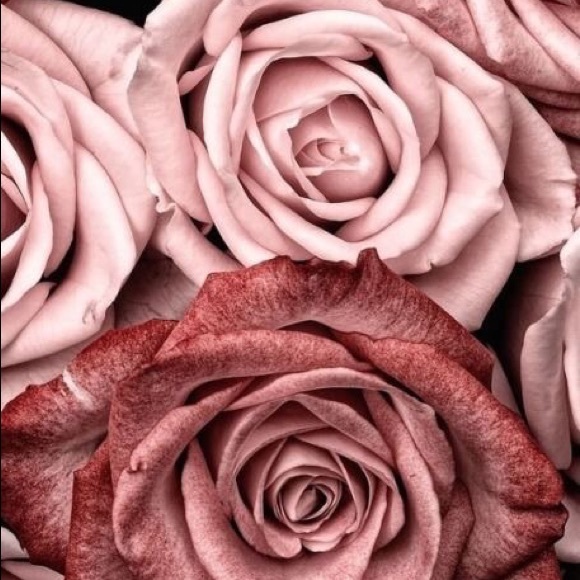 Profile Picture of Cindy Ramtahal (@aalya06) on Poshmark