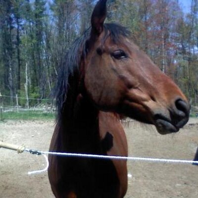 Profile Picture of Jordyn Clark (@BuckinClark) on Twitter