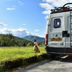 Profile Picture of Kelly, Simon & Sarge 🐶 (@theneverboreds) on Instagram