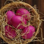 Daniela Stevenson - Instagram Profile Picture of Daniela Stevenson (@danielastevenson) on Instagram