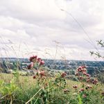 Profile Picture of Catherine High (@iris_flicks) on Instagram