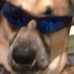 Profile Picture of Zeavin McDaniel (@zeavin.mcdaniel.7) on Facebook