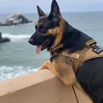 Profile Picture of Greg olson (@gregolson.895) on Instagram