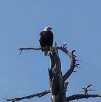 Profile Picture of Missy Yancey Kelsey (@Missy-Yancey-Kelsey) on Facebook