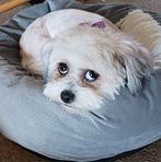 Profile Picture of Tamara Gibson (@tamara.gibson.184) on Facebook