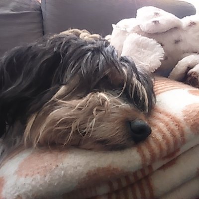 Profile Picture of Briand William (@BriandWilliam1) on Twitter