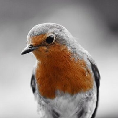 Profile Picture of Rita Otten (@ottenrita) on Twitter