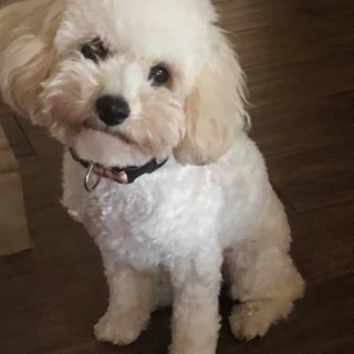 Profile Picture of Lori Longfellow (@lori.longfellow.3) on Facebook