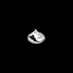 Profile Picture of Sultan Muhammad al-fatih (@lzyslth) on Instagram