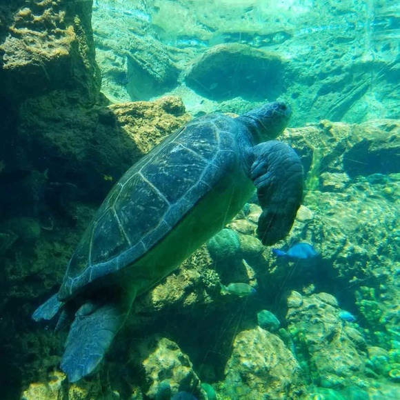 Emma Pekarovic - Poshmark Profile Picture of Emma Pekarovic (@emmapekarovic) on Poshmark