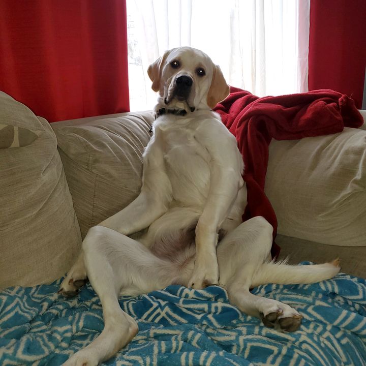 Profile Picture of Keith Saulnier (@@keithsaulnier) on Tiktok